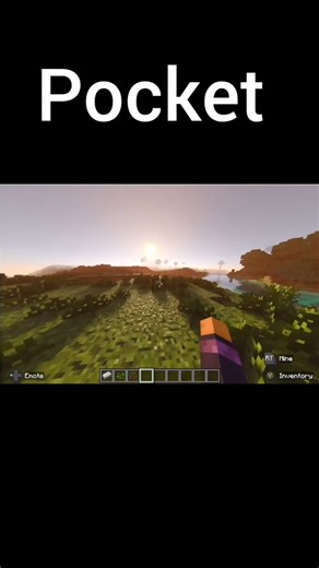 Minecraft _ Java VS Pocket