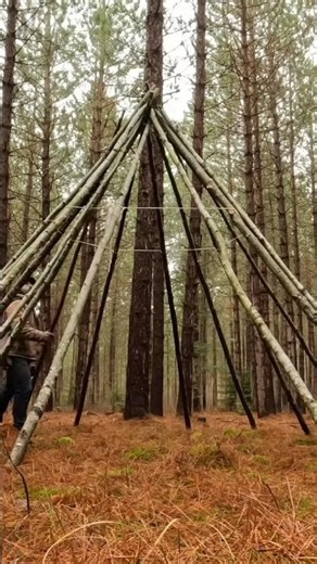 Warm & Cozy Teepee Shelter Build #survival #reels #trending #viral #bushcraft #camping #shorts