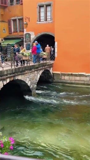 Enchanted by Annecy 💐✨