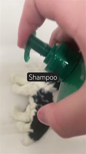 Part one of customizing a border collie! #essacommunity #essa #custom #artsandcrafts #fypシ #goviral