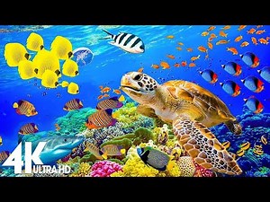 BIRDS Variety Found On The Earth - Explore The Unbelievable Birds Lives In 4K Ultra HD