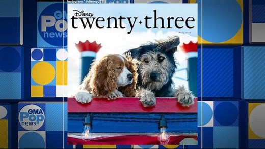 Disney casts shelter dog for 'Lady and the Tramp' remake