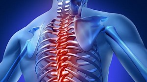 Stem cell injection better than placebo for back pain
