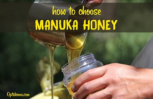 The Best Manuka Honey Brands - Is Manuka Honey Worth the Price?