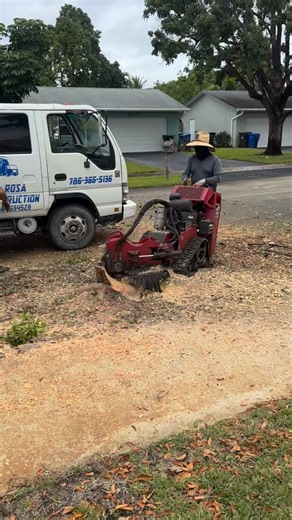 Franco Brothers LLC 🌳💪Tree Service • Junk Removal • Lawn Care • Fencing • excavation• Bobcat work•Concrete • stump removal. 7862816468 ☎️ #treeservice #bluecollar #lawncare | Francobrothersllc