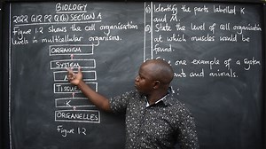 LEARN SOME BIOLOGY- 2022 G12 P2 Q1B SECTION A | Introductory Learning