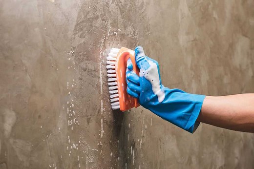 7 Best Concrete Cleaners of 2026
