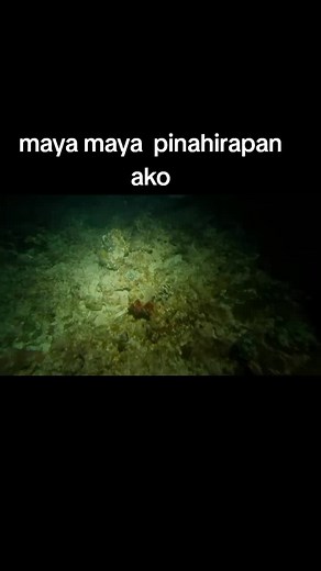 Night Spearfishing Adventure in the Philippines