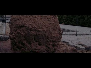 2020 Imagefilm Pflastererhandwerk MASTER Online