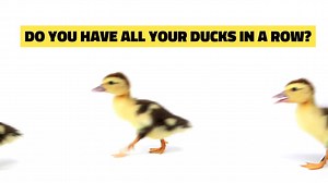 16 shares | Start 2025 off right! Log in and update, OR create your...