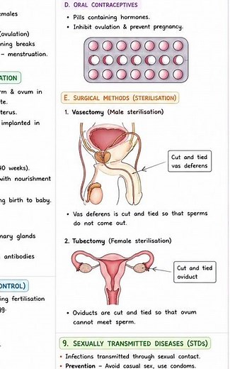 Reproductive Health One Shot Notes | Class 12 Biology NCERT #neet2027 #aiims