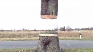 41 reactions · 44 shares | AWESOME | Super Fun Video | Facebook