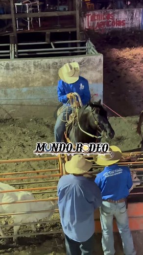 Francisco Cano última competencia de la regular en el gran Mundialito vecino XXXVI excelente ambiente @federaciondelazoveraguassur | Mundo Rodeo