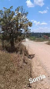 Olha um orelhão. Sorria 😊 | Heinz Denzer