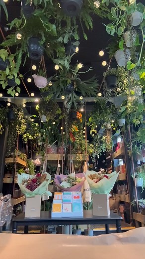 13 reactions · 5 comments | Amaryllis — my all-time favourite flower. Like lilies, just bolder, bigger, and unapologetically beautiful.  - #AmaryllisSeason #WinterBlooms #StatementFlowers #FlourishManchester #FlowerLovers | Flourish | Facebook