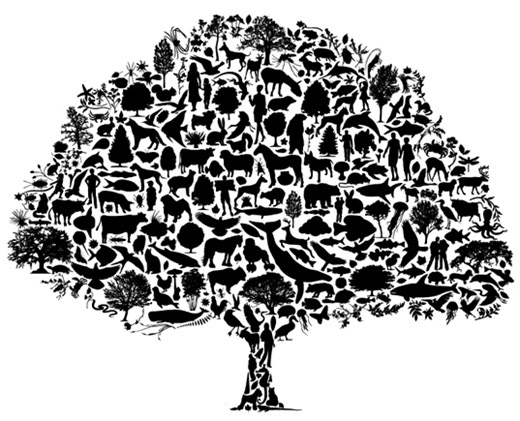 Chapter 11 - Biodiversity