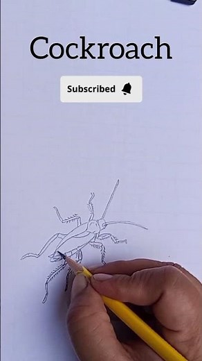 How to Draw a Cockroach Step by Step | Easy Biology Diagram#cockroach #viral #biology