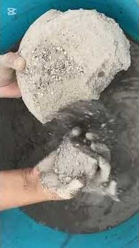 Dusty #asmr #crunchynoises #oddlysatisfying #foryou