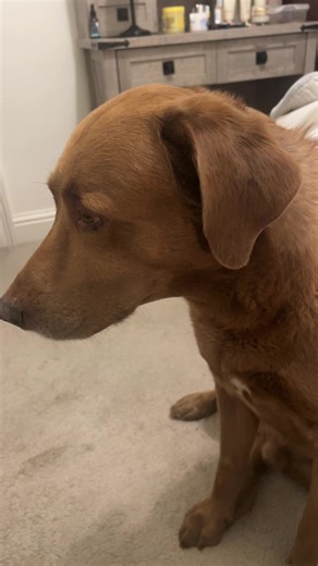 Gay Gardner (@gaygardner23)’s videos with original sound - RxCKSTxR