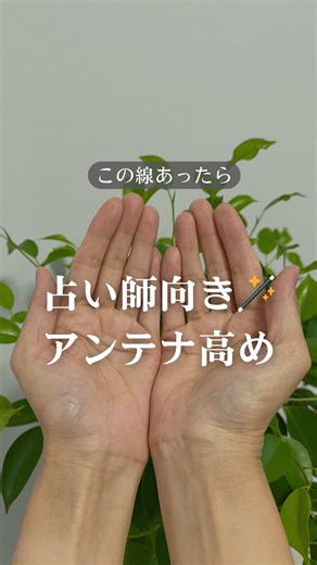 月丘(げっきゅう)に向かって伸びる長い知能線を持つ人は、 現実世界で夢やロマンを追いかける力があって 「知」よりも「情」、理屈よりも感覚。 目に見える結果よりも、空気感や直感、心の動きを大切にする人です。 知能線が月丘まで届く手は、想像力が豊かで 感受性が強く、人の気持ちを感じ取る共感力も高い。 だからこそ、芸術、表現、言葉、デザイン、音楽、占い、癒し、創作など “形のないものを形にする”分野で才能を発揮しやすい手相です。 月丘は、直感、イメージ、精神世界、インスピレーションを司る場所。 そこへ知能線が向かうということは、思考が現実だけでなく 「見えない世界」「感じる世界」にまで広がっているということ。 この手を持つ人は、 人の一言に深く心が動いたり 景色や音楽に感情が揺さぶられたり 言葉にできない感覚を大切にして生きています。 ただし、感受性が強い分、周囲の影響も受けやすい。 ネガティブな空気の中にいると、自分まで沈んでしまうこともあります。 だからこそ大事なのは「環境」と「切り替え」。 家庭のことが気になると仕事に集中できない。 仕事が乱れると家庭にも影響が出る。 感情が動くことを