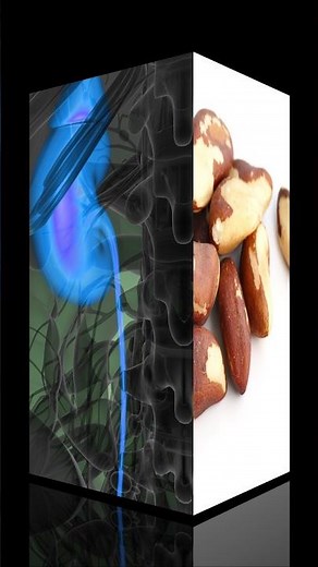Unlock the Hidden Health Powers of Brazil Nuts! 🌰✨