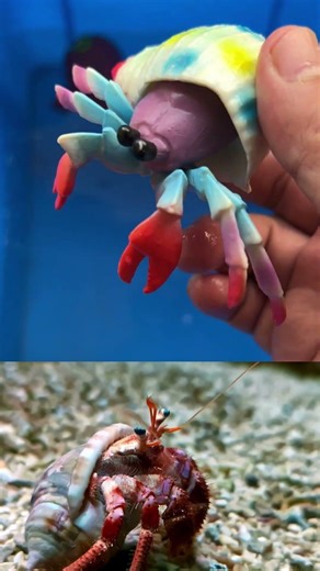 DISCOVER OCEAN ANIMAL FUN FACTS AND NAMES| WATER ANIMAL TOYS FOR KIDS| EDUCATIONAL VIDEOS FOR KIDS