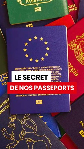Que signifie la couleur de ton passeport ? Je t'explique ! #culture #cultureg #voyage #apprendresurtiktok