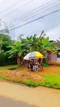 Real estate ad on Nsnigeria.net Ads #viralads #landforsale #Ads, search code 42900UY #realestate
