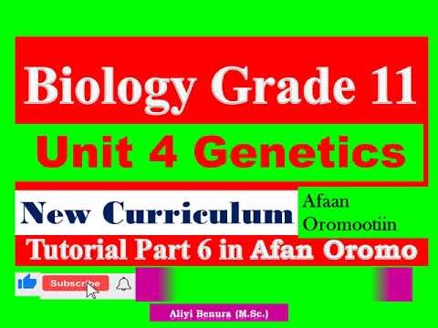 New Curriculum Biology Grade 11 Unit 4 Genetics Tutorial part 6 in Afan Oromo