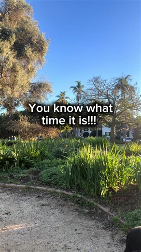 ✨DAILY DOSE✨ Do you guys like the ASMR edition? Or should I go back to doing music? Let me know 🤔 I will talk more about my health little by little as I’m ready. Please understand these are things that are ACTIVELY happening and I’m adjusting, learning and grieving all at the same time. Whatever happens, I will continue to show up here one way or another. Love you guys! 🫶🏼 Alt text: a woman comes into frame in her Wheelcahir and does a wheelie. She holds the wheelie while the screen says it’s