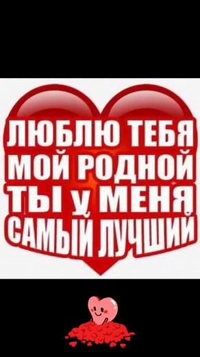 Love and Affection: A Visual Celebration