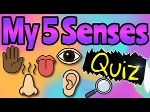 MY 5 SENSES QUIZ | See, Hear, Touch, Taste, Smell | Love2learn with Miss Ellis