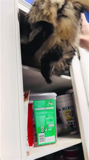 Rango in tight places