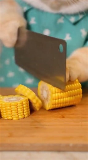 When a Cat Uses a Rice Cooker😼🍲Cute Cat Shorts