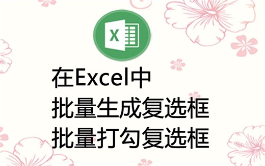 在Excel中批量生成复选框，且高效管理复选框