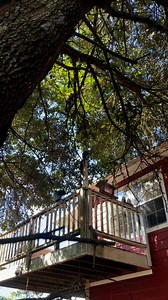 Baby Ruth, Butterfinger & Snickers are making the most of this gorgeous day! | Woodside Wildlife Rescue