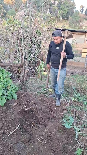 Buscando Chintal: Un Manjar Guatemalteco