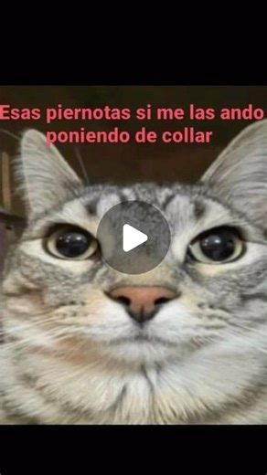 ✞ on Instagram: "#reels"