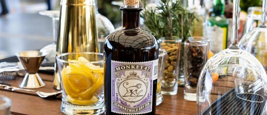ᐈ Ginebra Monkey 47 ⋆ Precio, opiniones y preparación de gin tonic