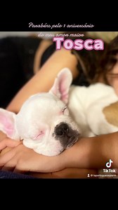 Parabéns Tosca.❤️🎁 Sou muito mais completa desde o dia que a fui buscar. Minha alma gémea nasceu no dia dos namorados. La Portuguese & Tosca para sempre. Tosca El Perfume per cani | La Portuguese