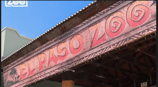 El Paso Zoo to host ‘Party for the Planet’ to celebrate wildlife, conservation, Earth Day