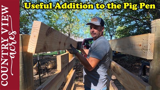 49K views · 1.7K reactions | Building a Loading Chute for Pigs Buy...