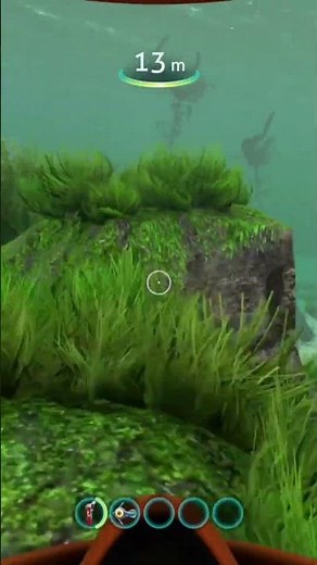 How To Get Salt Deposits in Subnautica Quick Guide