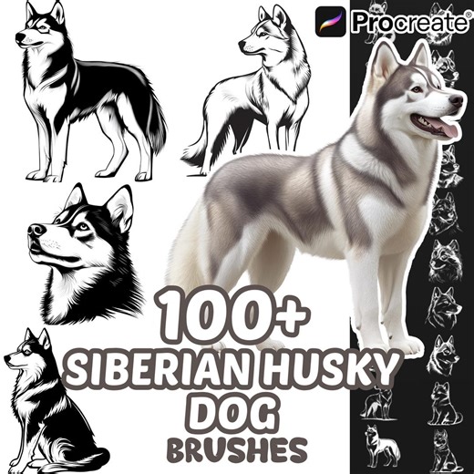 Procreate Siberian Husky Dogs Animals Brushes, 100  Siberian Husky Dog Animal Procreate Stamps, Nature Procreate, Pet Animals, Dogs Species - Etsy