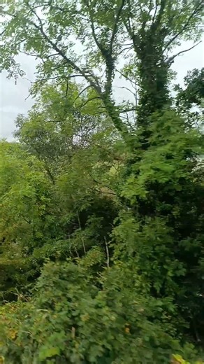 11K views · 126 reactions | ✨ All aboard for breathtaking views!✨...