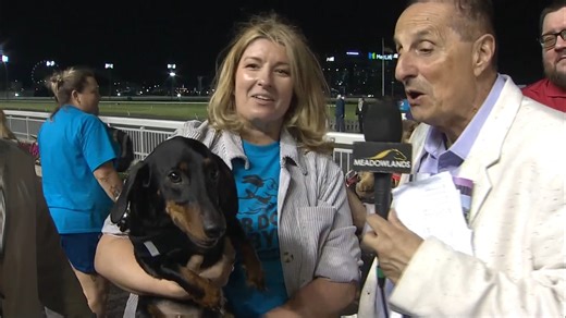 Winner: Bucky Owner: Adriana Smith of Haskell, New Jersey | Meadowlands Racetrack