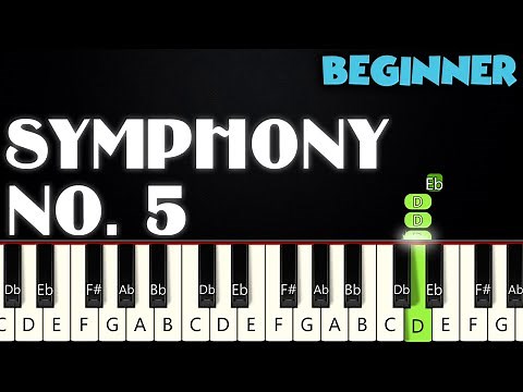 Symphony No. 5 - Beethoven | BEGINNER PIANO TUTORIAL + SHEET MUSIC by Betacustic