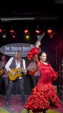 Benise - Fiesta! #flamengo #guitar #spanishguitar #concert #benise #dance #tapdance #shorts