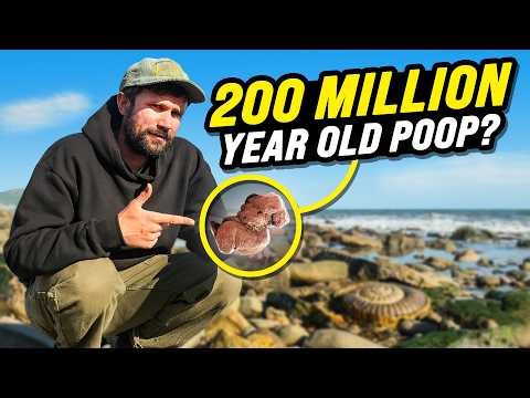 How To Find 200 Million Year Old Treasure