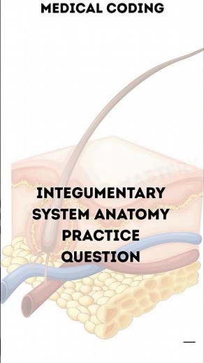 CPC Exam Integumentary System | Frequently Asked Anatomy Question Explained Fast! #shorts